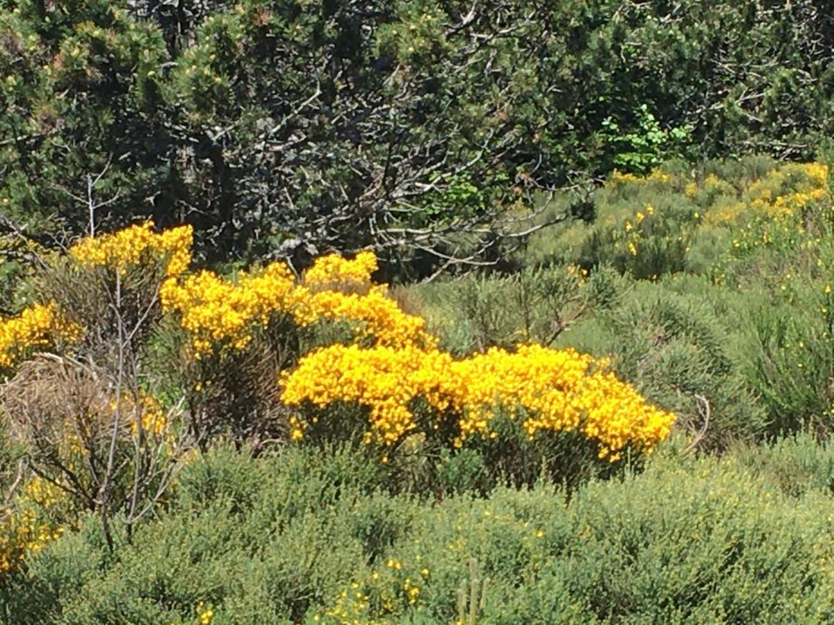 Au Coeur Du Parc National Des Cevennes